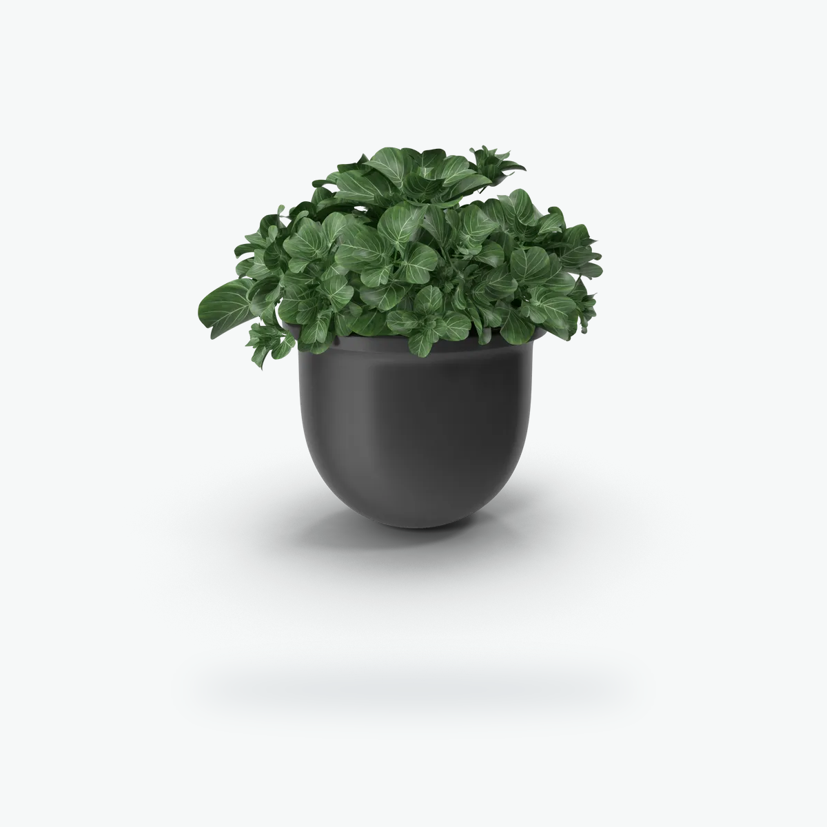 Desk plant pot